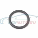 Genuine BMW O-ring (11431740045)