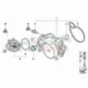 Genuine BMW Thermostat (11537586885)