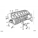 Genuine BMW Screw plug (07119919143)