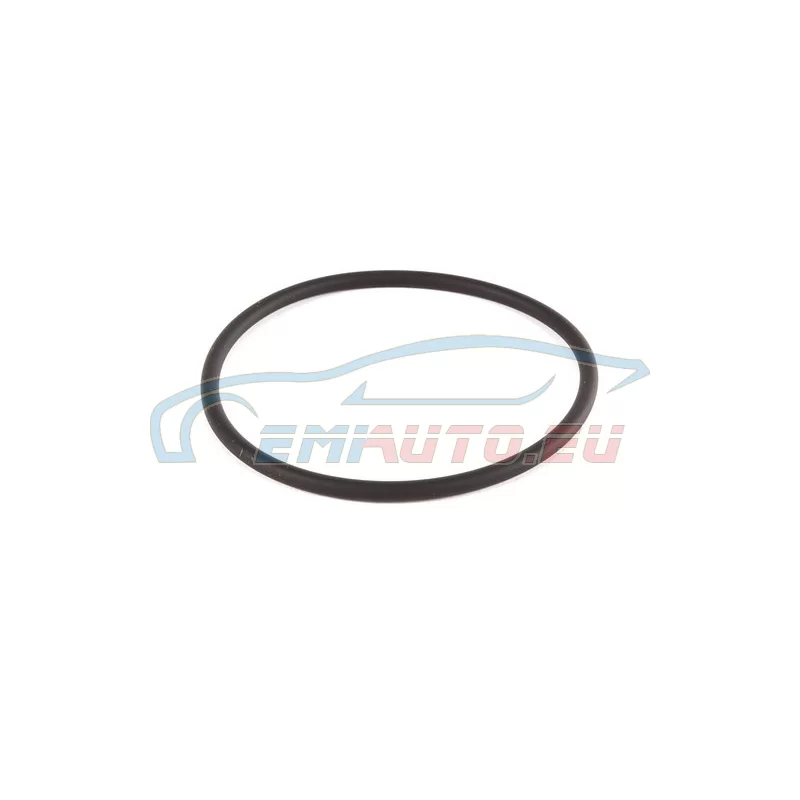 Genuine BMW O-ring (13541307768)