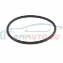 Genuine BMW O-ring (13541307768)
