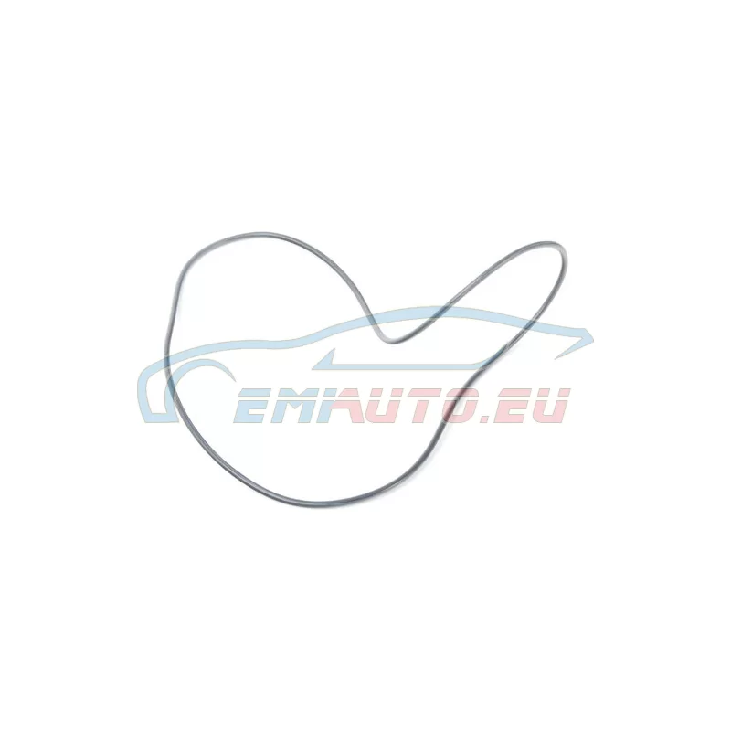 Genuine BMW O-ring (24311219166)