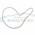 Genuine BMW O-ring (24311219166)