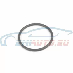 Original BMW O-Ring (27107537631)