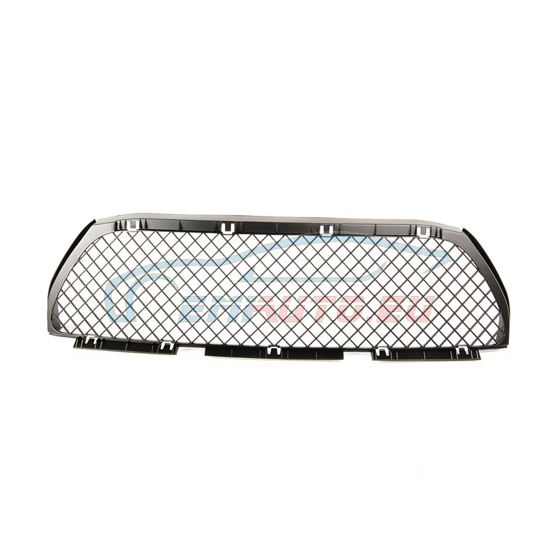 Genuine BMW Grid (51112694724)