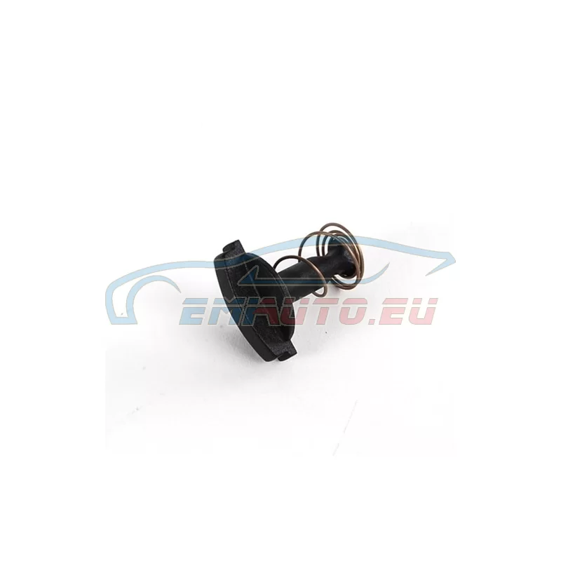 Genuine BMW Lock (64318385244)