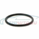 Genuine BMW O-ring (07119900019)