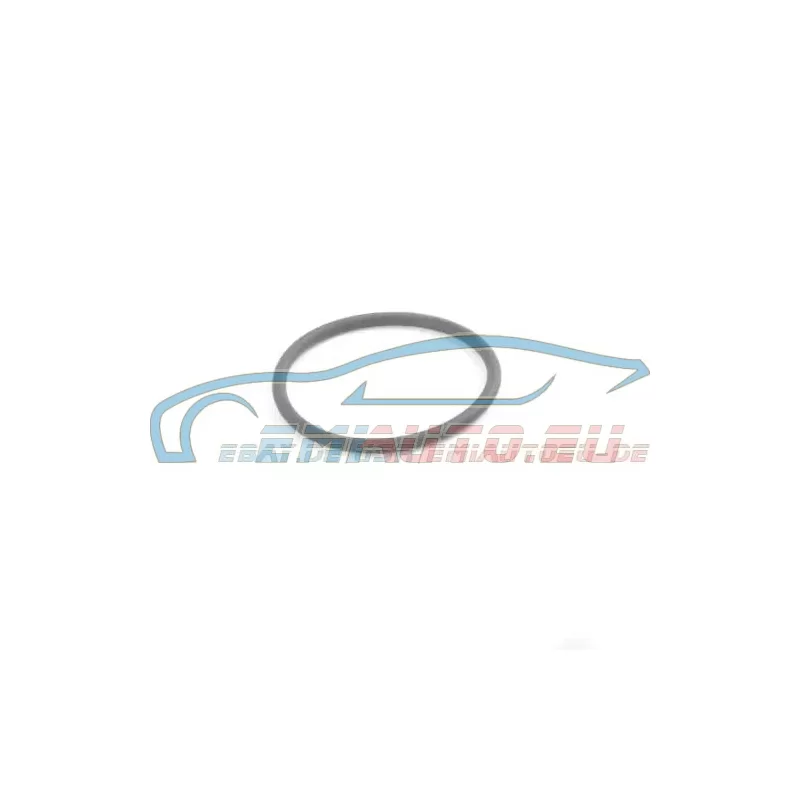 Original BMW O-Ring (17211723942)