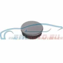 Genuine BMW Plug (51418223097)
