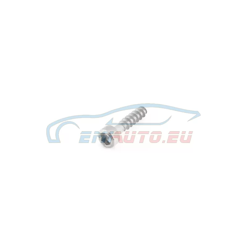Genuine Mini Inner hex bolt (51219811291)