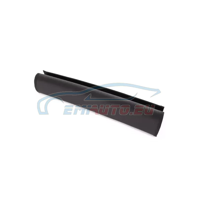 Original BMW Fensterführung vorne links (54318397657)