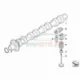 Genuine Mini Gasket ring (11317805964)
