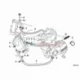 Genuine BMW Spring (11412345137)