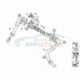 Genuine BMW O-ring (11717590062)