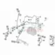 Original BMW Kappe (34327666399)