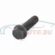 Genuine Mini Screw (07136800269)