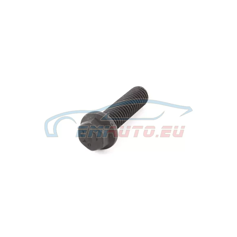 Genuine Mini Screw (07136800269)