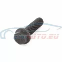 Genuine Mini Screw (07136800269)