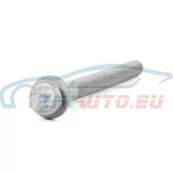 Genuine Mini Torx bolt (22116766753)