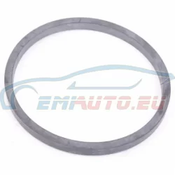 Genuine BMW Gasket ring (12642242807)