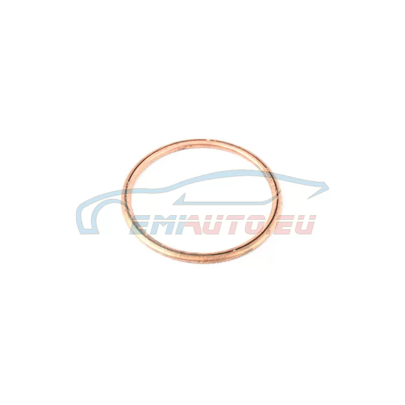Original BMW Dichtring (31429963486)