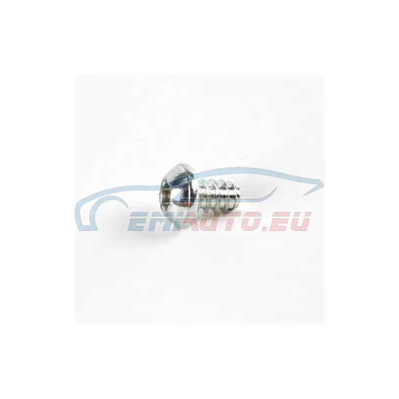 Genuine BMW Screw (07149169302)