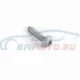 Genuine BMW Screw (11617535849)