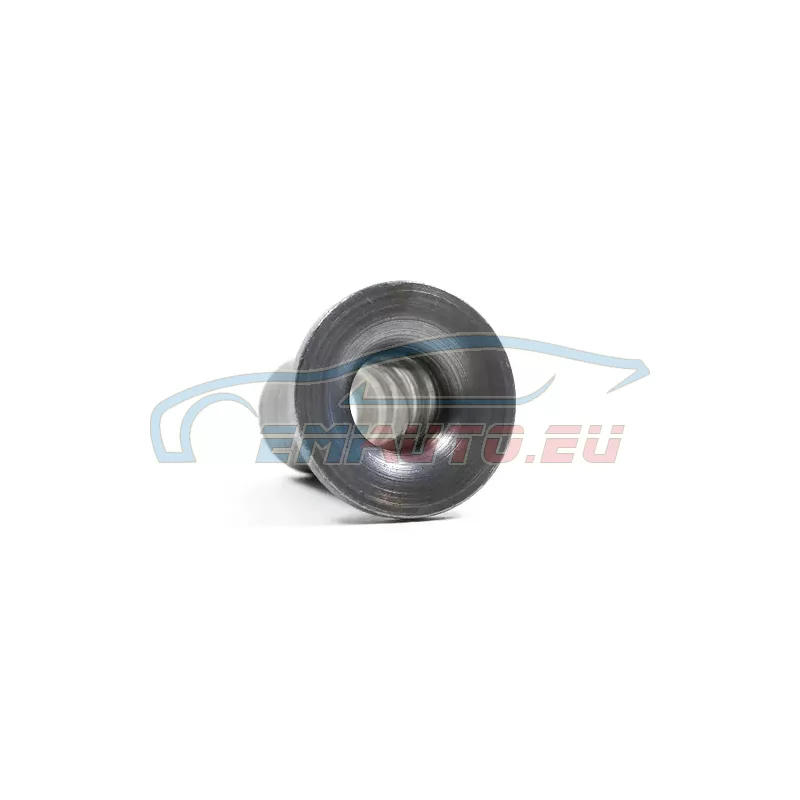 Original BMW Halteschraube (17227555715)