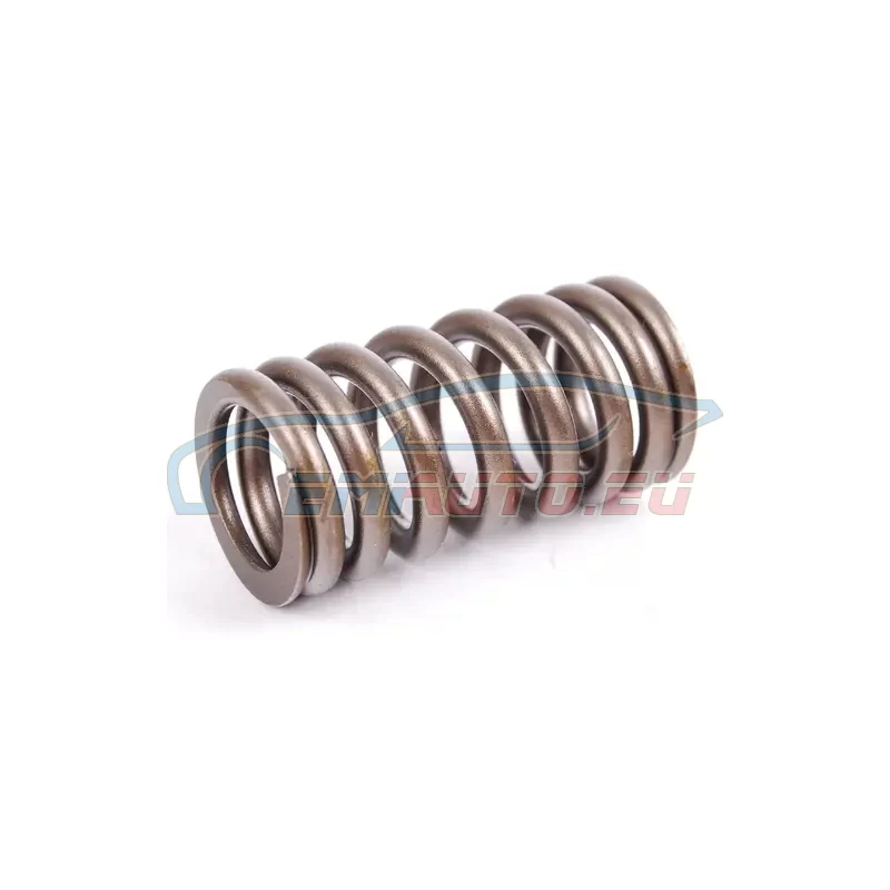 Genuine Mini Valve spring (11341485590)