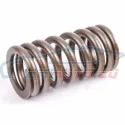 Genuine Mini Valve spring (11341485590)