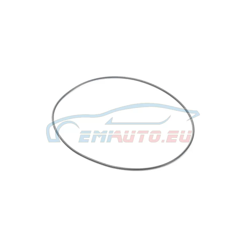 Original BMW O-Ring (33111204119)