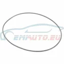 Original BMW O-Ring (33111204119)