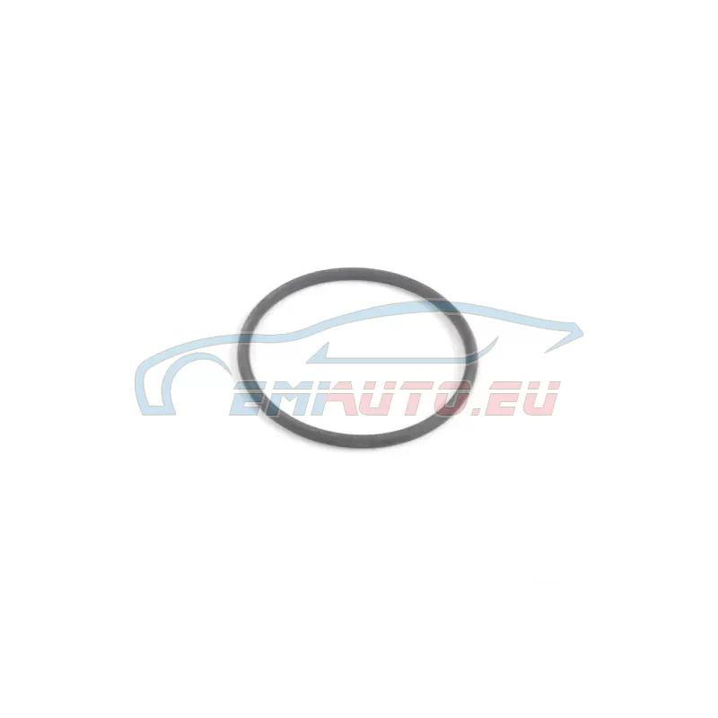 Original BMW O-Ring (34511159421)