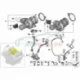 Genuine BMW O-ring (11657577018)