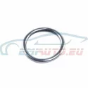 Genuine BMW O-ring (11617805052)