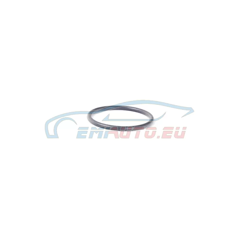 Genuine BMW O-ring (27107548348)
