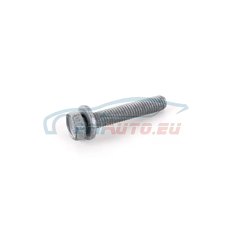 Genuine Mini Hex Bolt with washer (11317829911)
