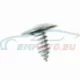 Genuine BMW Torx bolt (41009163211)