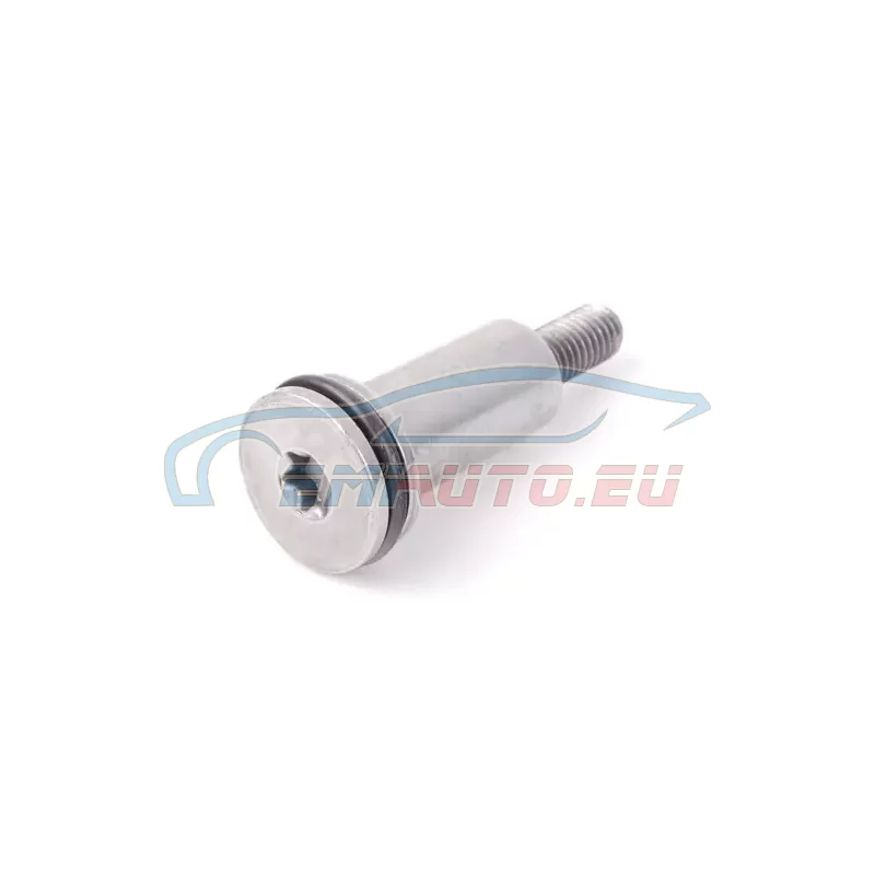 Genuine BMW Bolt (11317534768)