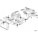 Genuine BMW Pipe (11532246013)