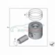 Genuine BMW Piston (11257812596)