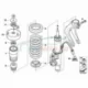 Genuine BMW Front coil spring (31336782881)