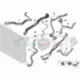 Original BMW Schlauch Saugmodul (17128653604)