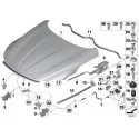 Genuine BMW Hood (41007325848)