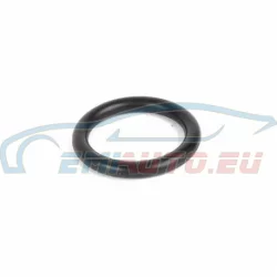 Original BMW O-Ring (17111711987)