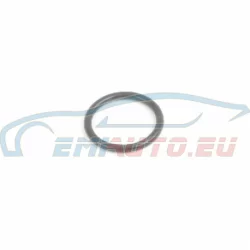 Genuine BMW O-ring (17211723943)