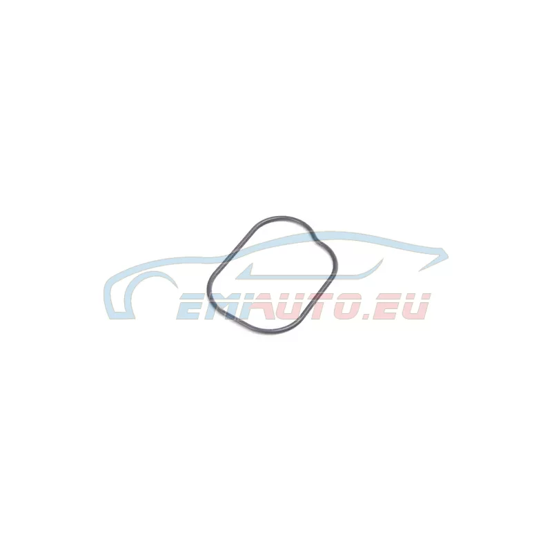 Genuine BMW O-ring (11127830119)