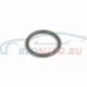 Genuine BMW O-ring (11151401949)