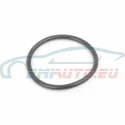 Genuine BMW O-ring (12111243848)