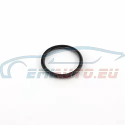 Genuine BMW O-ring (12141727220)